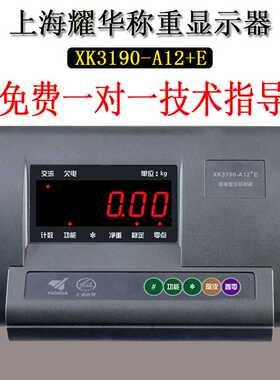 XK3190-A12+E仪表称重显示器A12E计重地磅用电子秤连电脑