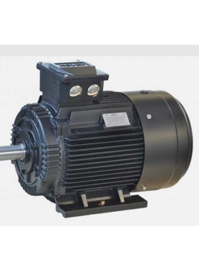 霍尔HOYER异步低压三相TEFV鼠笼电机400V Y – Hoyer IE3 3KW功率