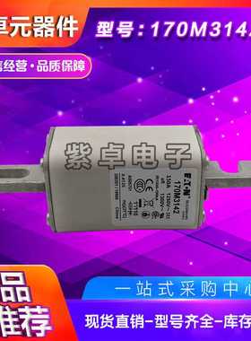 170M2691 170M2692 170M2693 170M2694 170M2695 170M2696熔断器