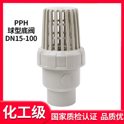 PPH底阀ppr球型止回阀水管止逆阀抽水泵底阀滤网进水花篮头莲蓬头