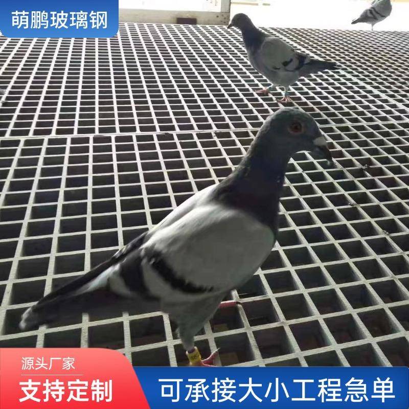 鸽舍养殖格栅玻璃钢格栅污水池地沟盖板洗车房地格栅网格板走道板