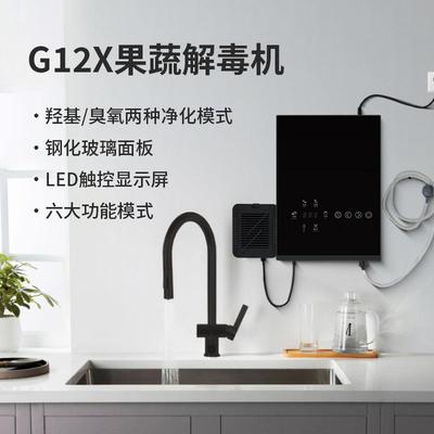 果蔬清洗机洗菜机双仓净化洗除菌去农残消毒净化器