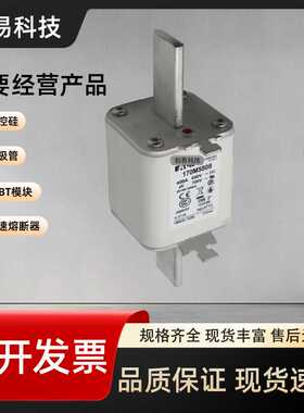 170M5708 170M5709 170M5710 170M5711 170M5712 170M5713熔断器