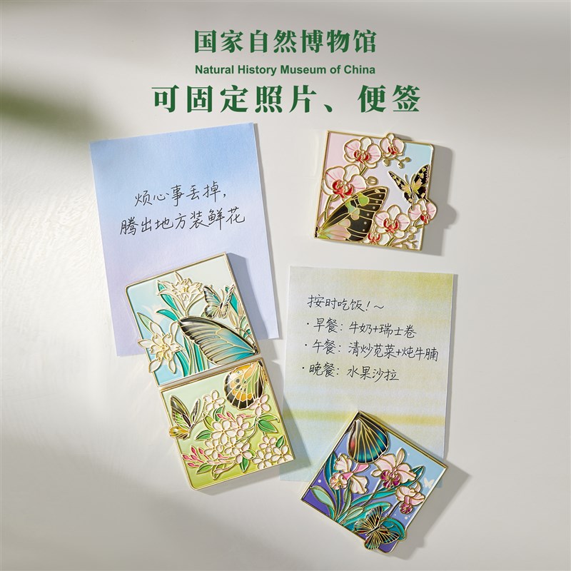 国家自然博物馆蝴蝶拼装夜光冰箱贴创意磁贴生日礼物伴手礼纪念品