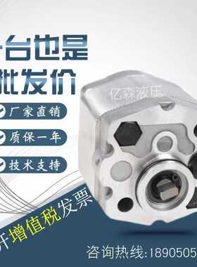 意大利Hydronit齿轮泵E60605002/5035/5004/5005/5006/5007/5008