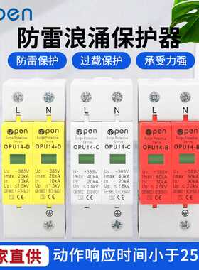 二三级单相电源防雷器2P20/40/60KA机房家用220V避雷浪涌保护模块