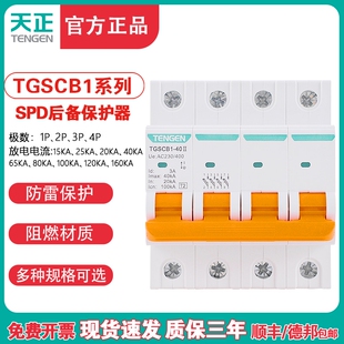 TENGEN天正TGSCB1电涌浪涌后备保护器SPD防避雷器4P前端分断开关