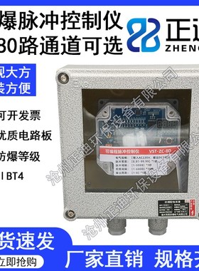 防爆型脉冲控制仪VST在线离线布袋除尘器专用控制器1-80路24V220V