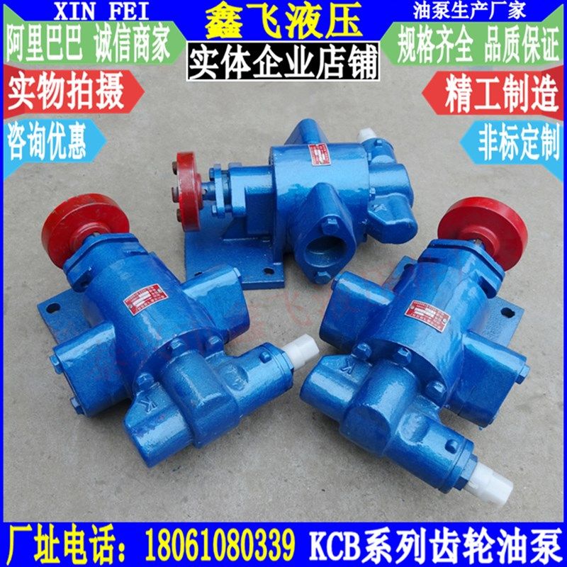 KCB-18.3齿轮泵头KCB-33.3齿轮油泵KCB-83.3润滑泵 液压油泵,鲜花速递/花卉仿真/绿植园艺,洒水/浇水壶,淘宝优惠券,粉丝福利购,淘宝优惠卷