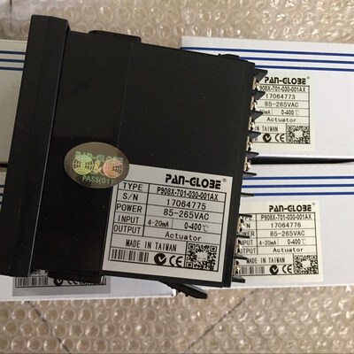 温控仪P908X-701-030-000AX,P908X-301-030-000AX