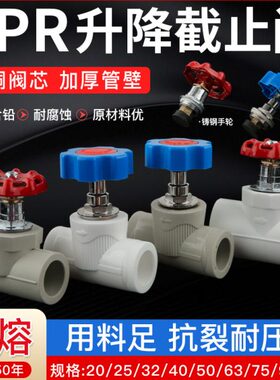 PPR升降式铜截止阀ppr阀门2025mm四六分管自来水开关管件配件灰色
