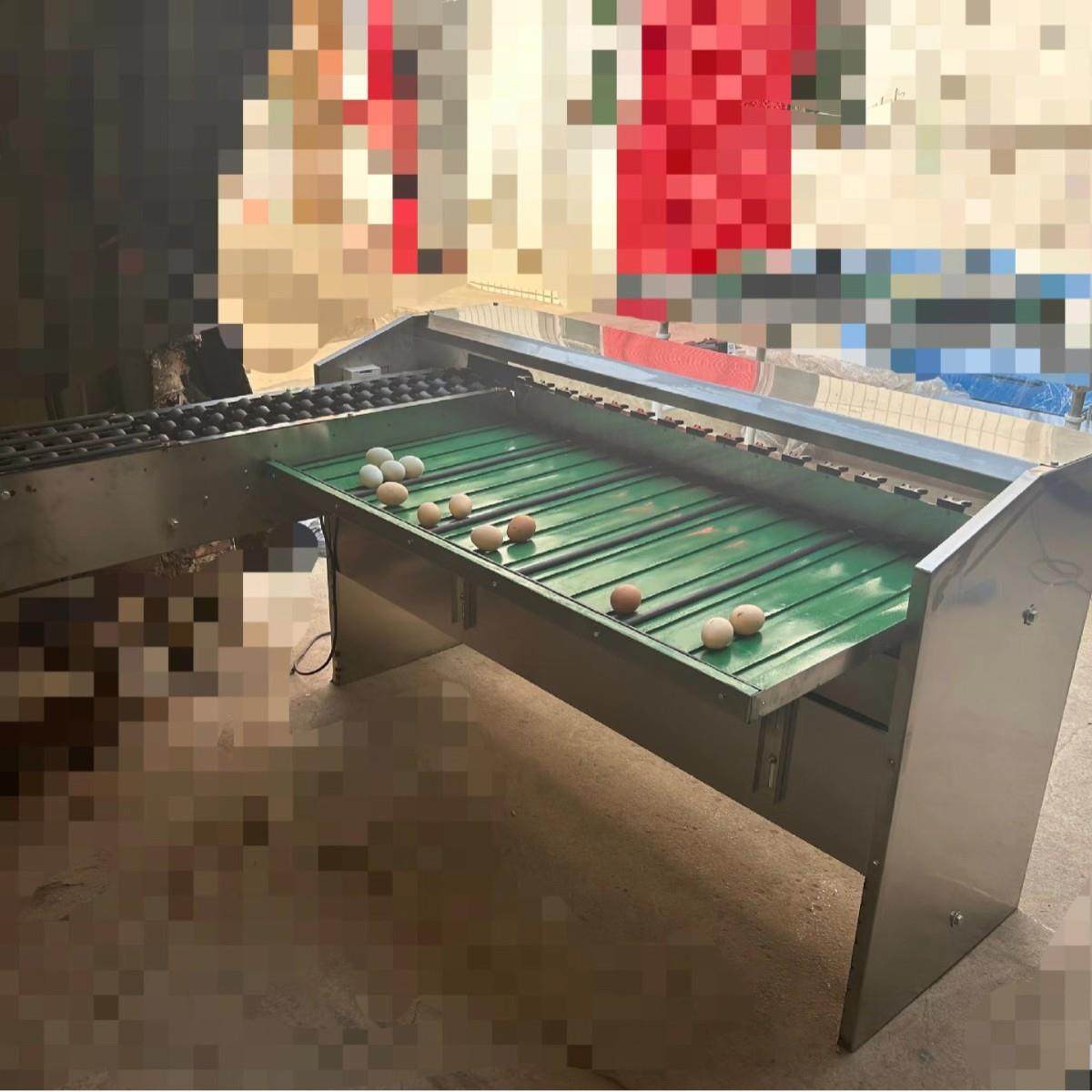 蛋品重量分选机 鸭蛋大小分类机器 咸鸭蛋加工设备 鸡蛋分级机,清洗/食品/商业设备,休闲食品加工设备,淘宝优惠券,粉丝福利购,淘宝优惠卷