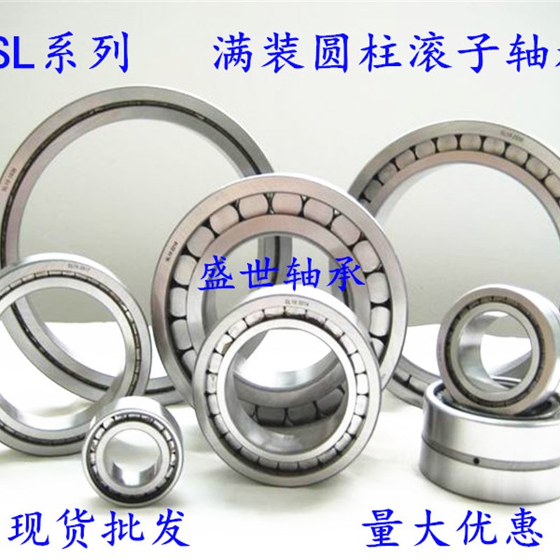 满装圆柱滚子轴承SL185009 NNCF5009 内径45外径75厚度40mm