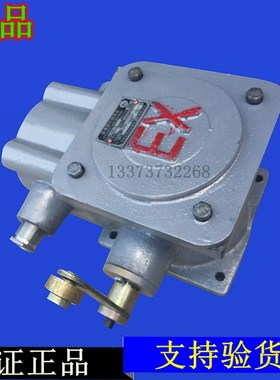 隔爆型行程开关BLX501-10 黄河防爆BLXK501-10行车起重机限位开关