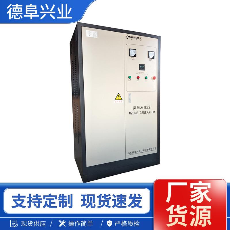 游泳池水杀菌臭氧机食品制药饮料I生产加工用水消毒臭氧发生器