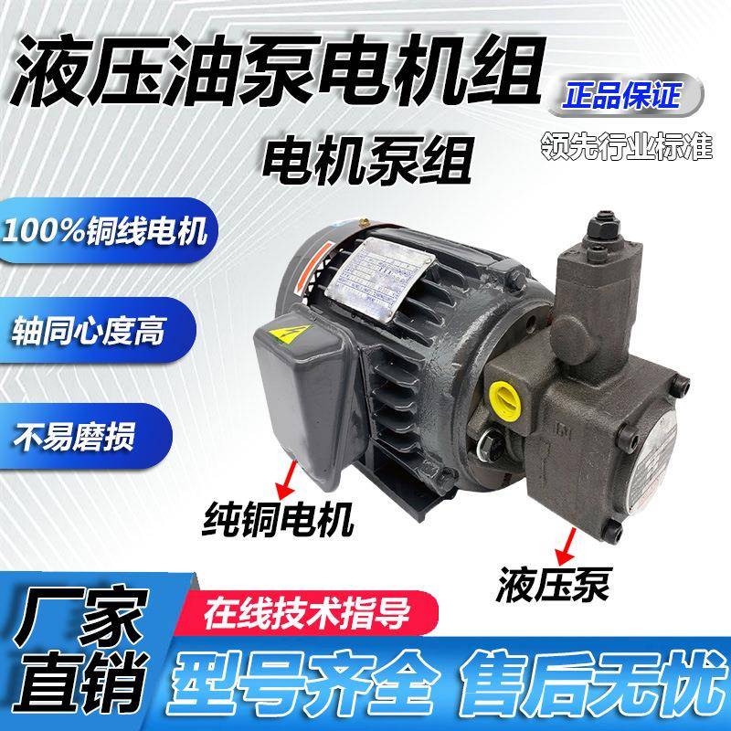 液压油泵电机组VP20+0.75KW1.5液压泵总成内轴电机液压站配件电机