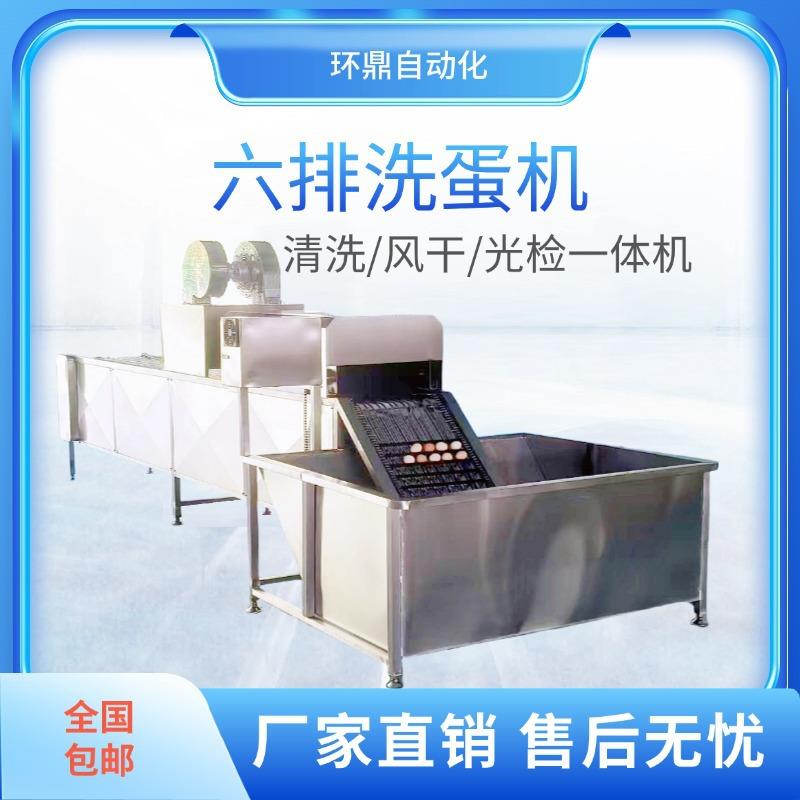 蛋品加工厂清洗风干线六排式自动上蛋洗蛋机配光检检查坏蛋裂纹蛋