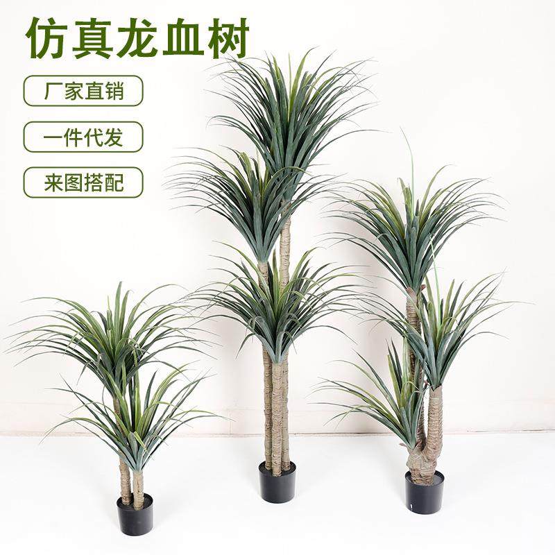 仿真龙血树大型落地假绿植盆栽室内客厅装饰摆件龙舌兰假植物造景