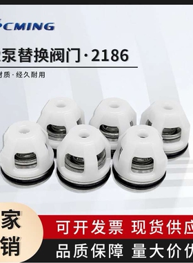 意大利高压柱塞泵RC11.17 RC13.17 RC系列cod 2186泵维修件