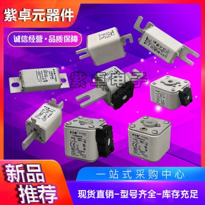 170M1740 170M1741 170M1742 170M1785 170M1786巴斯曼快速熔断器