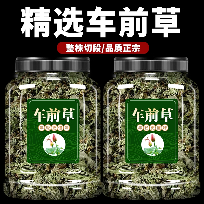 央妈推荐车前草中药材干货泡茶