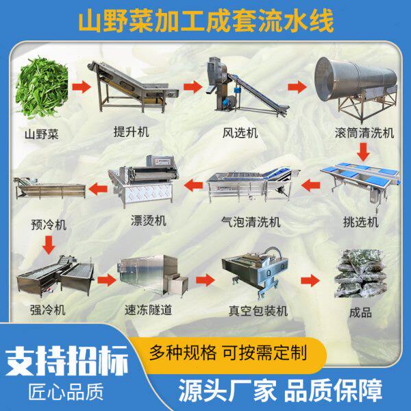 东北野菜清洗线加工设备 全自动柳蒿芽护色冷却整套流水线机器