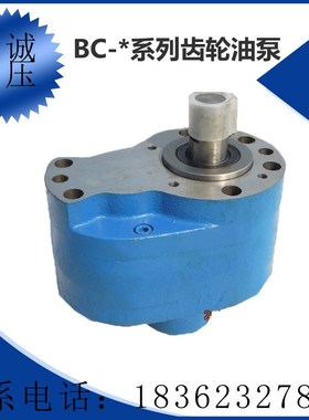 BC-6/10/4机床磨床齿轮泵BC-16/20/25/32/40/50/63/80/100/125CBB