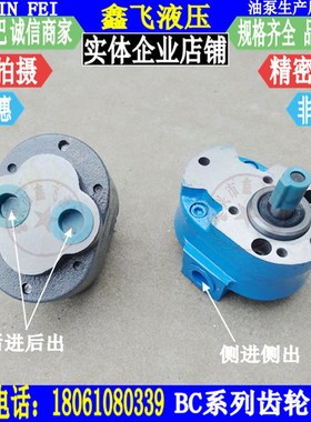 BC-16/20/25/4/6/10/32/40/50/63/80/100/125上海磨床厂齿轮油泵