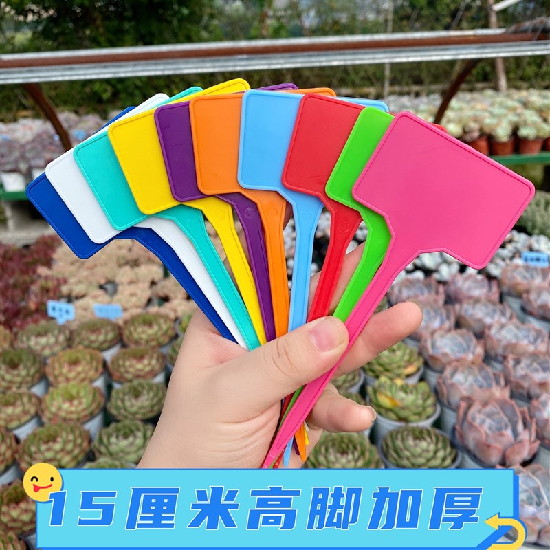 宏荣盆栽插牌绿植花卉牌园艺标签防水标识牌加厚彩色塑料书写牌