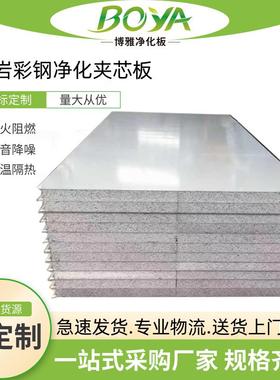 机制硅岩彩钢板洁净化板无尘车间隔墙防火隔热板厂房防潮复合板