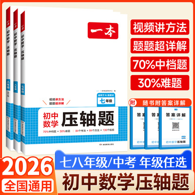 当天发！初中数学压轴题789年级