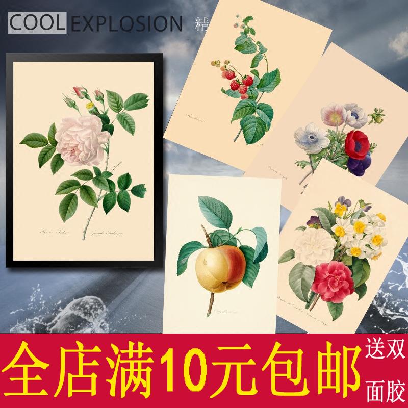 植物花草花卉图谱海报寝室书房客厅花店装饰画 划相框墙画 划壁画图片