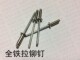 全铁拉铆钉 44.8 GB12618全铁开口型扁圆头抽芯铆钉3.2