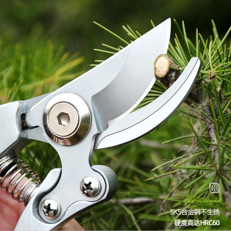 剪子种花大力不锈钢修建柑桔树枝省力火龙果果树工具支果木修枝剪