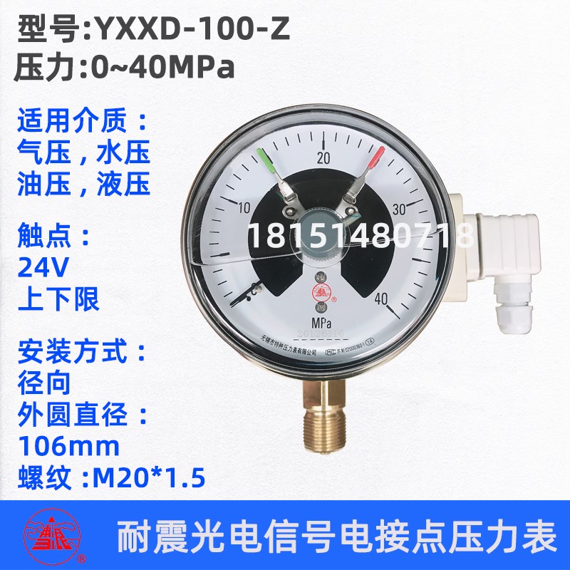 无锡特种雪浪牌YXXD-100-Z 耐震光电信号电接点压力表 1MPA