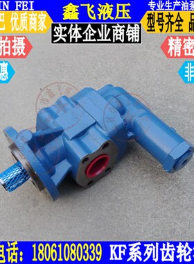 DK4/DK6/DK10/DK12/DK16/DK20/DK25/DK32/DK40输送齿轮油泵RF