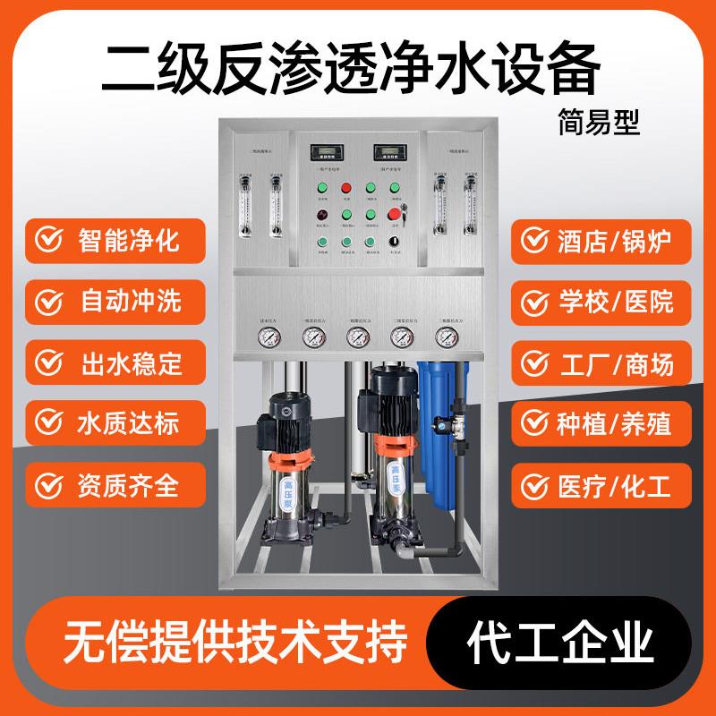 双级反渗透设备商用二级RO净水器纯净水处理洗衣液洗化去离子EDI