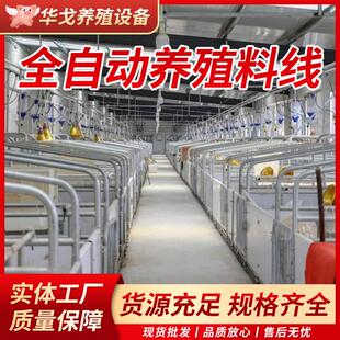 养猪料线全自动赛盘链条上料线养殖场饲料输送料线