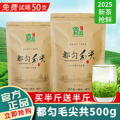 买一送一2025新茶都匀毛尖500g
