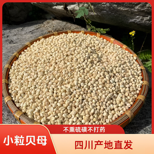 海拔3500米藏区野生无硫贝母
