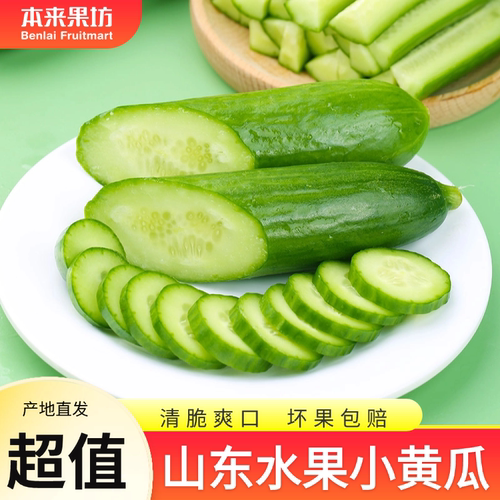 【本来果坊】正宗山东水果黄瓜当季新鲜现摘水果小黄瓜3/4.5斤