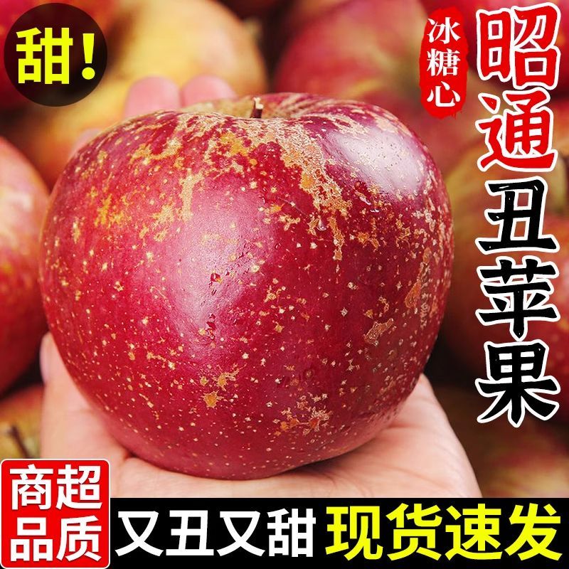 本来果坊云南昭通丑苹果冰糖红富士新鲜水果净重3斤单果70mm起ZX