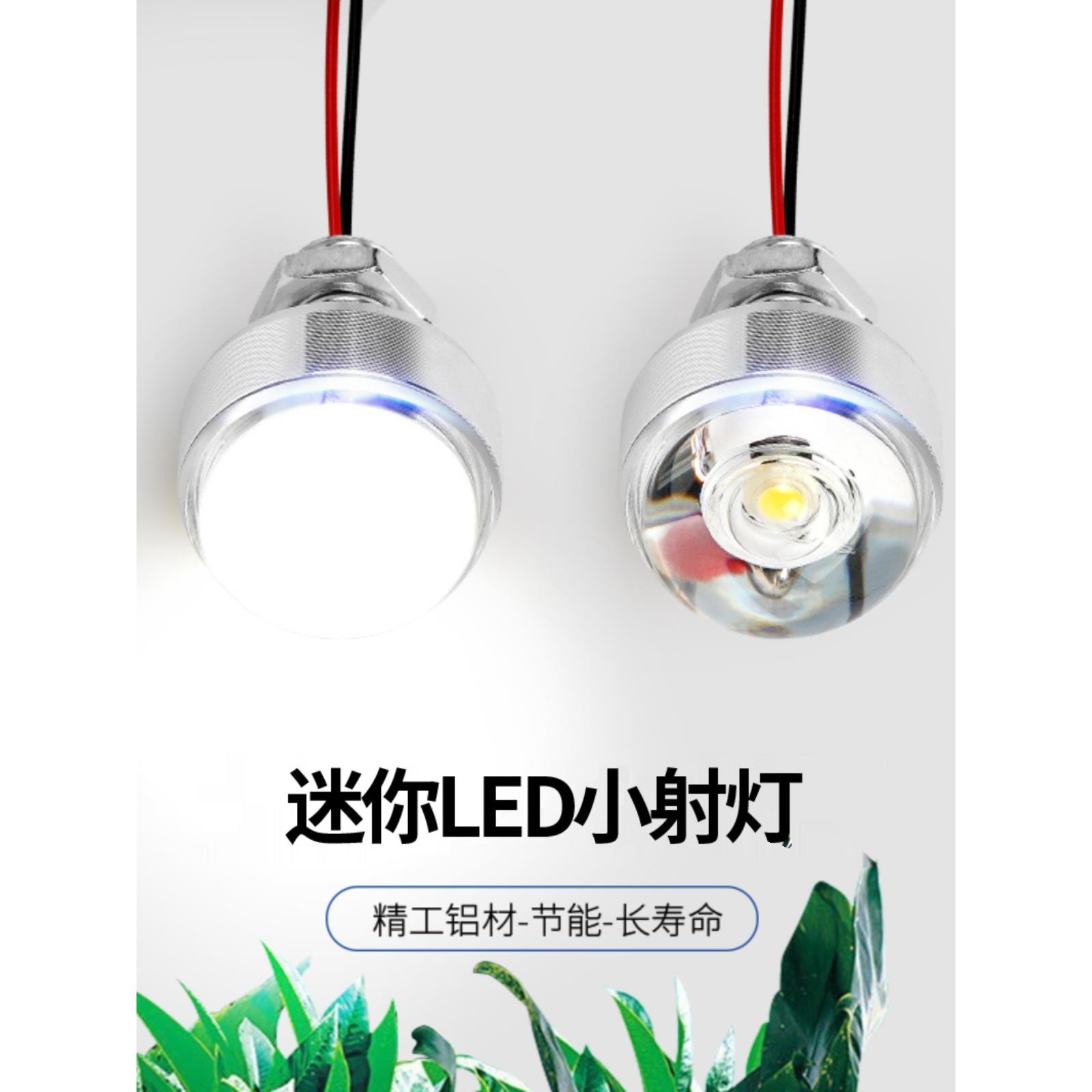 高亮LED灯珠恒压直流12VLED灯24V小灯泡带线灯机箱仪器设备照明灯