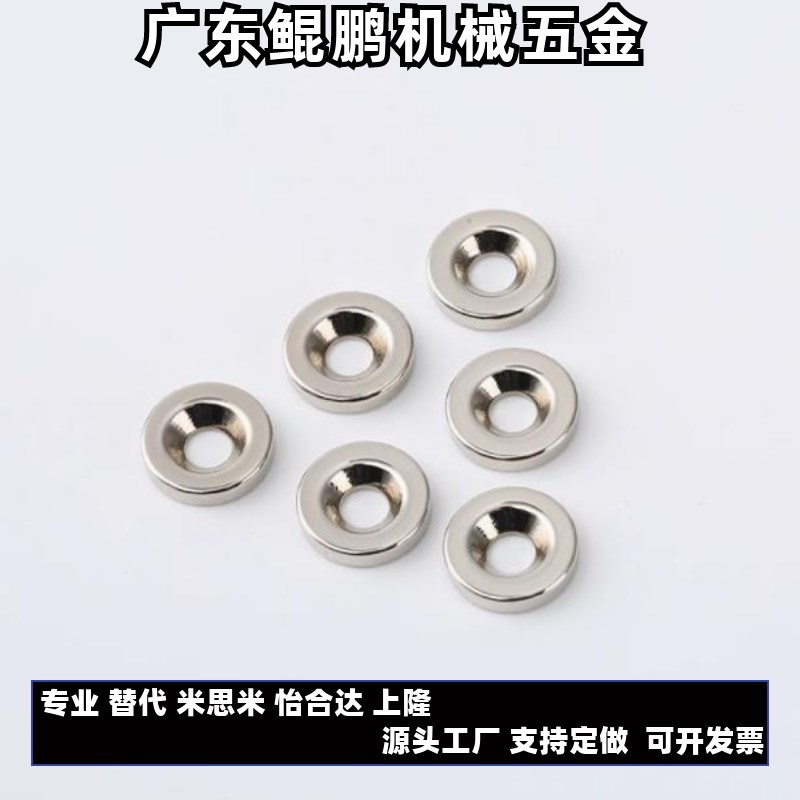 BLS65/66-A8-T2-T3-A10-A12-T3-T4-T4.5怡S合达型 强磁铁圆形带孔