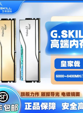 G.SKILL芝奇(16Gx2)DDR56000台式机内存条皇家戟EXPO版RGB灯条C28