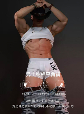 ORLVS男士内裤纯棉7A抗菌2026新款简约纯色平角裤运动透气青少年
