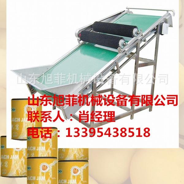 毛刷翻果提升机淋碱去皮机黄桃罐头加工设备