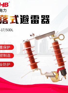 跌落式避雷器HY5WS-17/50DL氧化锌避雷器组合熔断器