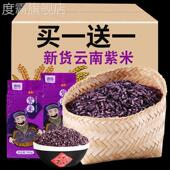 买 1送1云南墨江紫米500g黑米新紫糯米血糯米云南特产五谷杂粮杂