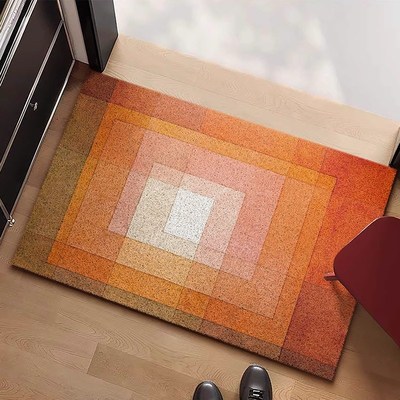 轻奢高级感入户门丝圈地垫进门门垫玄关门口脚垫耐脏地毯可裁剪